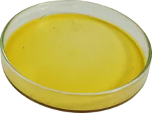 绿色蜂胶酒精提取物（11%，15%或25%）