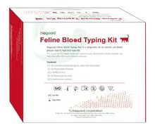 Kit de digitação de sangue felino