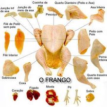 Frango - 