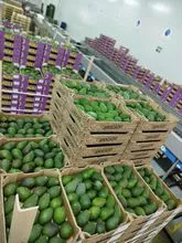 imagem dos produtos