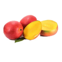 imagem dos produtos
