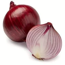 fresh farm onion