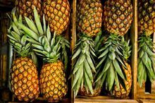 Fresh Sweet Pineapples and Canned Apples