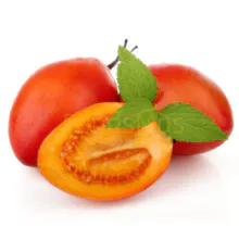 Tomate de árvore