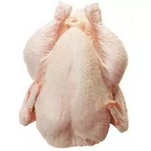 Pollo orgánico de alta calidad disponible