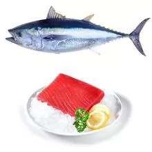 2023 Tuna canned fish on Sale