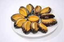 Abalone congelado