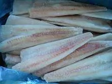 Frozen Grey Mullet Fish Fillet