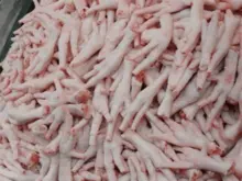 imagem dos produtos