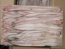 Frozen Conger Eel
