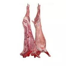 Frozen Halal Lamb Meat and Lamb Carcass . Order Now