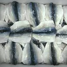 Frozen Pacific Mackerel Fillet