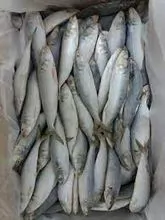 Sardina congelada Ronda entera