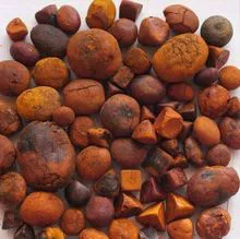 Buy Cow Gallstones, Ox Cow Gallstones, Cow Gallstones for sale, Cow Gallstones Suppliers and Manufacturers