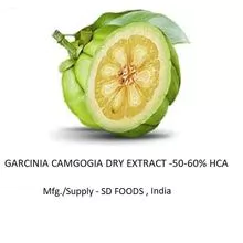Garcinia Extract 