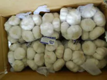 2017 new crop normal white garlic And  fresh Ginger for export