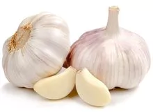 GARLIC