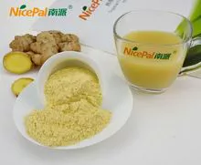 Vegetable powder ginger powder for beverage with factory price