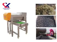 El equipo de procesamiento de vinos de alta calidad de la máquina rotatoria de eliminación de tallos de uva