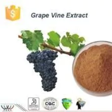 Extracto de la vid de uva