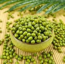 Green Mung Bean on sale . Order Now