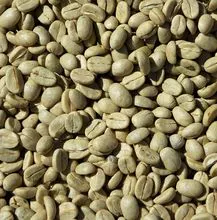 grãos de café verde cru