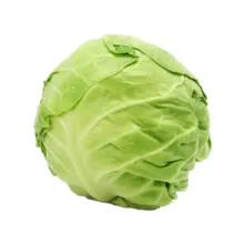 fresh cabbage