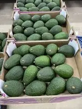 imagem dos produtos