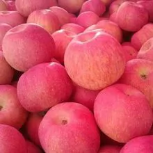 Manzana Fuji fresca 