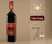 HERMES   red italy wine 