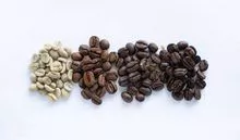 Granos de café robusta / verde / tostado / fresco / arábica de alta calidad
