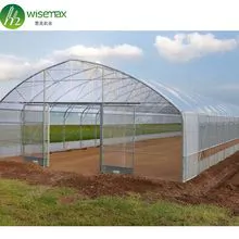 Special offer single span film greenhouse