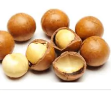 Hot selling !!! Organic Macadamia Nut Big Kernels Raw and Roasted Macadamia Nuts 