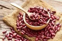 High-Quality Kidney Beans Available Now