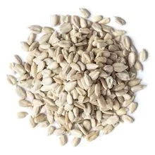Hulled Sunflower Seed Available . Order Now