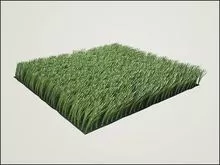 HyperGrass