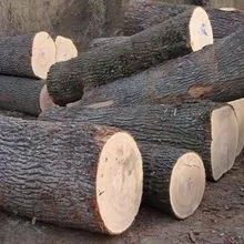 Pine sawn wood