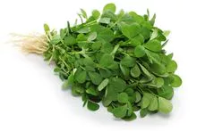 Feno-grego (Methi)