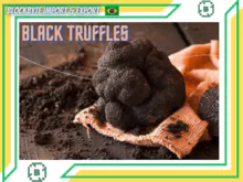 Black Truffles