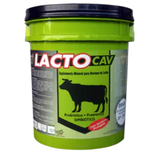 LACTO CAV - Cattle