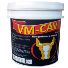 VM-CAV - 牛