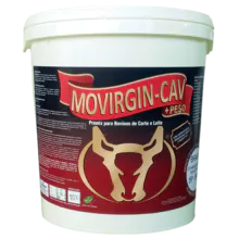 MOVIRGIN-CAV - 牛