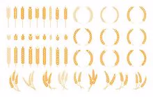 Grains (Corn, Soybean Wheat)