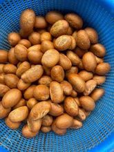 cola amarga ( nuez de gercinia)