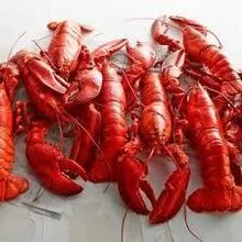 Frozen Black Tiger Shrimp and Whole Lobster