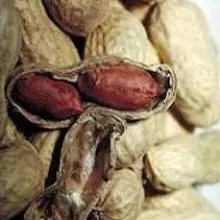 Cacahuete 