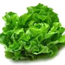 Lettuce