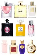 Best perfumes in Qatar contact now