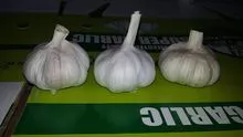 Chinese garlic 5-5 and 6-5