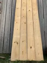Wood Pinus Taeda Bruta